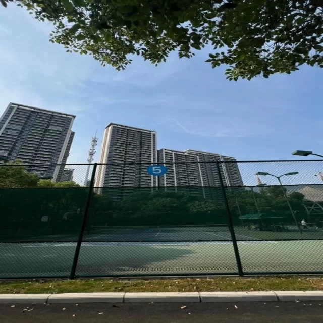 训练备战新闻聚焦 第404组阵容深度解读